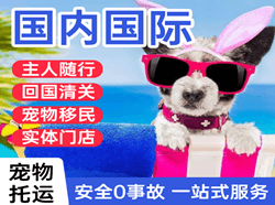 杭州航空物流国际宠物托运 【国